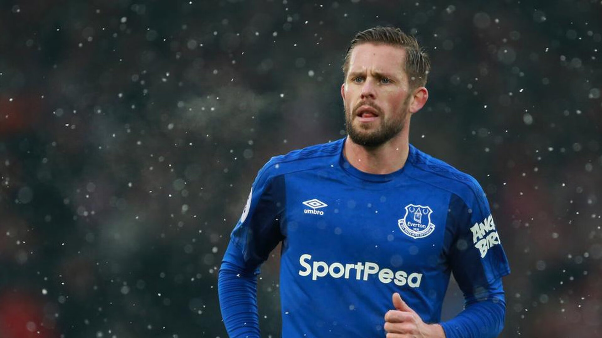 【投票选MVP】粉丝投票出年度最具影响力球员,mvp球迷投票